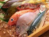 تحقیق ارزیابی تازگی ماهی